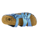 LICO Bioline Flora blau 40